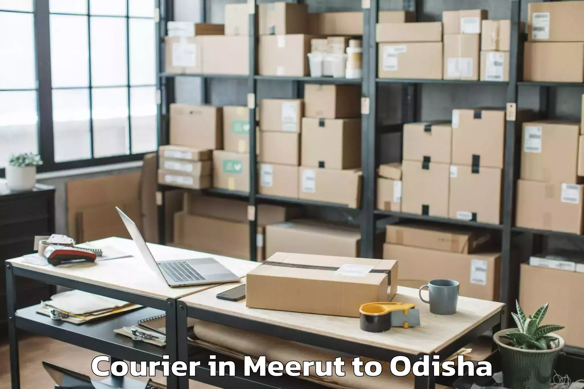 Trusted Meerut to Tumudibandha Courier